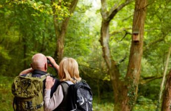 Why Birdwatching is Good for Mental Health_ Combining Nature, Mindfulness, and Outdoor Time