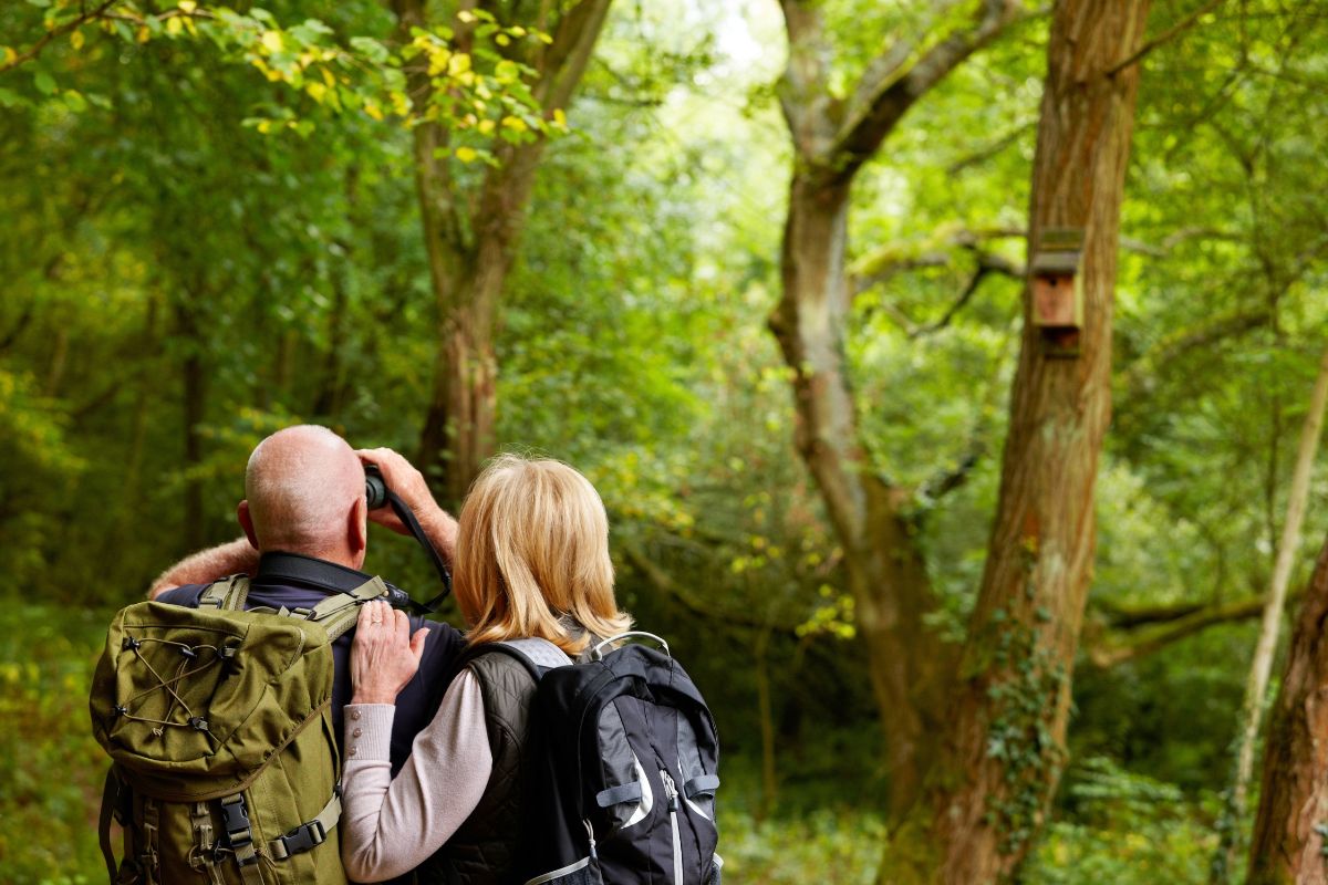 Why Birdwatching is Good for Mental Health_ Combining Nature, Mindfulness, and Outdoor Time
